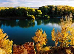 “喀纳斯”是蒙古语，意为“美丽富饶、神秘莫测”，这里因喀纳斯湖及周边雪山、草原、白桦林共同组成的秀美风光闻名遐迩，被誉为“东方瑞士、摄影师天堂”。        每到金秋时节，白桦林一片金黄，银色的雪山，翡绿的湖泊，好似