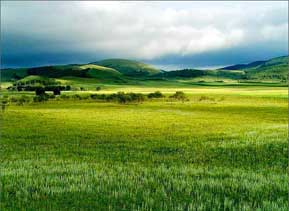 内蒙古自治区北与蒙古、俄罗斯接壤，东西几乎横跨整个中国，是我国跨经度最大的省份。内蒙古不仅有着得天独厚的丰富自然景观，而且有着浓郁的民族风情。      广阔的草原主要分布在内蒙古的西部。草原是内蒙古的标志，自古以来就是人们歌颂和