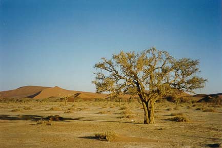 纳米比亚位于非洲西南部，是非洲大陆最后一个获得民族独立的国家。这里拥有全球最古老的沙漠，野性且神秘，是摄影师向往的天堂。在纳米比亚，一切意想不到的奇景正等待你去发现，这个美丽的国度会让到访的每一位游客终生难忘。  在纳米比亚有几个