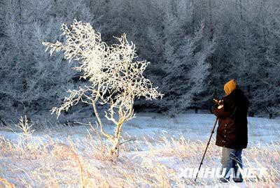 内蒙古中东部草原出现雾凇美景(组图)