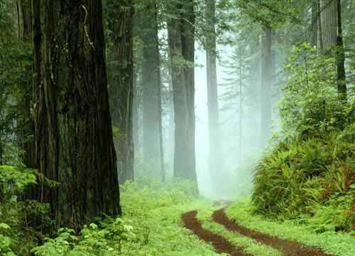 �������Ӷ�����������