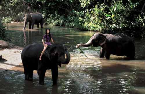 ����&����